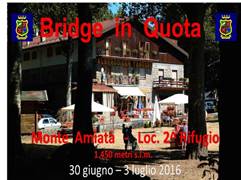 Bridge in Quota 2016_copertina